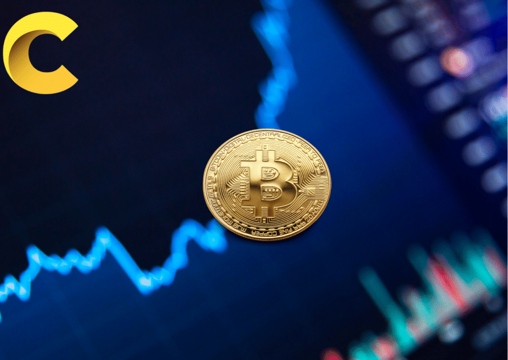 Coyyn.com Digital Economy